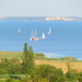 Csopak - Balaton (5)