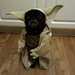 yoda