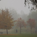 Park ködben