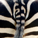 Zebrapopó 1.