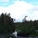 Oulanka Nemzeti Park, Medveösvény