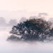 02827 morningmist 1280x1024