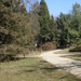 Szombathely Arboretum 030