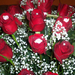 40 vörös rózsa