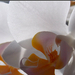 Fehér orchideák