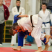 Judo OBIII 20121202 048