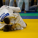 Judo OB 20121010 133