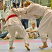Judo MEFOB 20121125 212