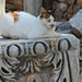 Efesus - Törökország 2015 286