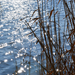 Napfényben csillogó tó