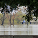 Szegedi árvíz10