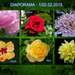 4. Cseppes tulipán fotóm a top 6 között. - 2015.02.02.