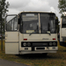 IKARUS 255