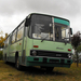 IKARUS 266