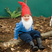 little-bearded-gnome-costume-craft-halloween-photo-420-FF1008COS