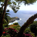 Capri az álmok szigete
