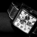 festina bw