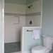 33Short-Article-Reveals-the-Undeniable-Facts-About-Aqua-Bathroom