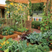 Backyard-Organic-Gardening-this-Summer-07