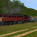 trainz 2015-01-01 20-09-03-53