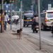 India, utcarészlet