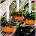 35357-Diy-Pumpkin-Candles