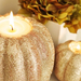 FALL-DIY-CRAFT-IDEAS FALL-DECOR INTERIOR-DESIGN-6