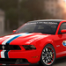 Mustang GT 2011 Official Pace Car Daytona 500