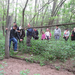 Kerítésbontás a Guthi erdő határában