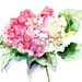 19497490-gyönyörű-hortenzia-rózsaszín-virágok,-akvarell-illusztr