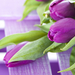 purple-flowers-tulips-bouquet-wallpaper-53c964618fa32