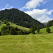Thumersbach völgye