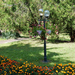 Kiskunhalas, Park virágokkal