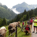 Zillertal (162)