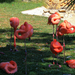 Pihenő flamingók