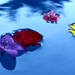 Flowers on water