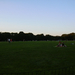 494 Central Park-The Great Lawn