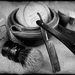 B and B BLACK &amp; WHITE, SOTD "The Magnificent Ten" 1.