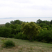 1113 2008.05.18 Balaton