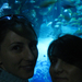 20110622 (47) aquarium - Copy