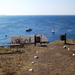 Sozopol - St. Ivan Island - Созопол - Свети Иван 2012 695