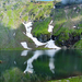 Bilea-tó 2013 009