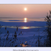 Téli napfelkelte a Fertő tónál