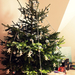 Karácsonyfa az Öcséméknél