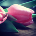Szombat - ajándék tulipán