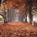 Balatonföldvár ősszel