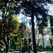 Madridi park részlet