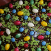 Húsvéti párizsi-krém torta