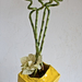 ikebana104c