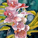flower-watercolor-painting